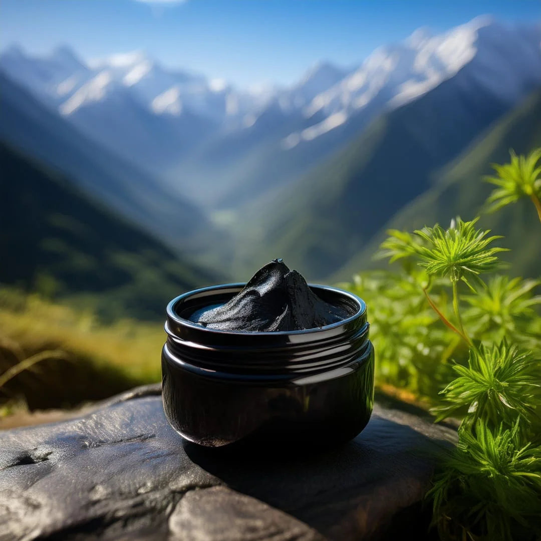 Salajeet (Shilajit) – Pure, Natural & Premium